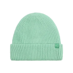 Arctic Beanie | Mint