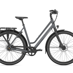Gazelle Chamonix S11 lage instap 2024