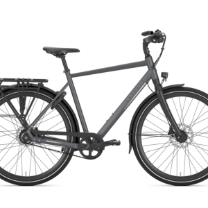 Gazelle Chamonix S11 Heren