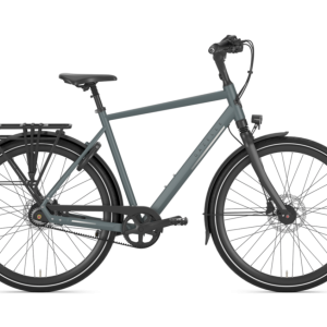 Gazelle Chamonix S8 heren